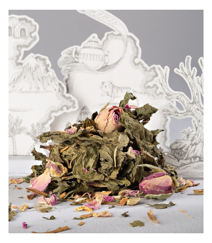 INFUSION BIO LE SIROCCO