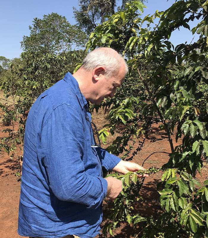 Découvrez notre café bio de Papouasie