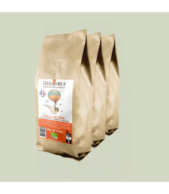 Découvrez notre café en grain bio du Brésil, Mexique