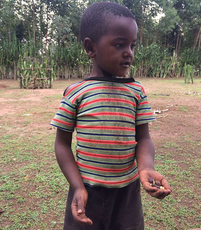Découvrez notre café bio du Brésil Mexique Tanzanie 100% naturel