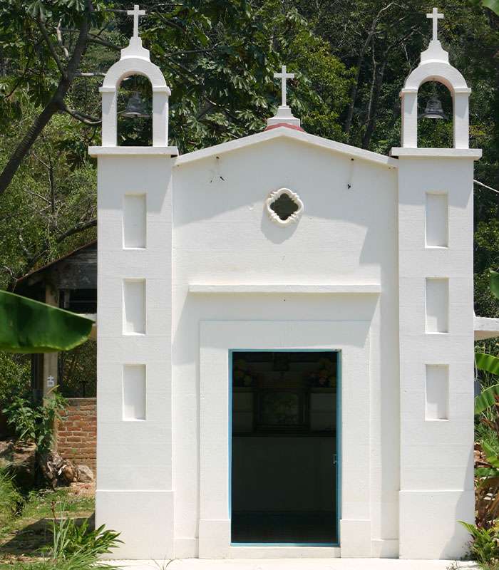 Découvrez notre café bio du Brésil, Mexique, Tanzanie