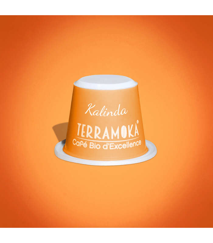 KALINDA : CAPSULES CAFÉ BIO D’INDE - ÉLÉGANT ET CORSÉ