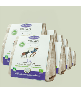 10 sachets senseo