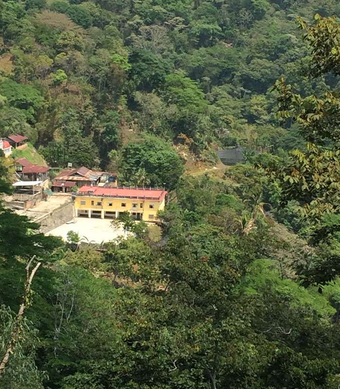Découvrez notre café bio du Brésil, Mexique, Tanzanie