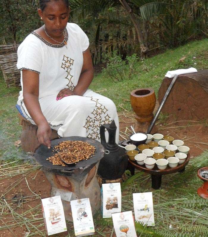 Découvrez notre café bio du Brésil, Mexique par des producteurs locaux