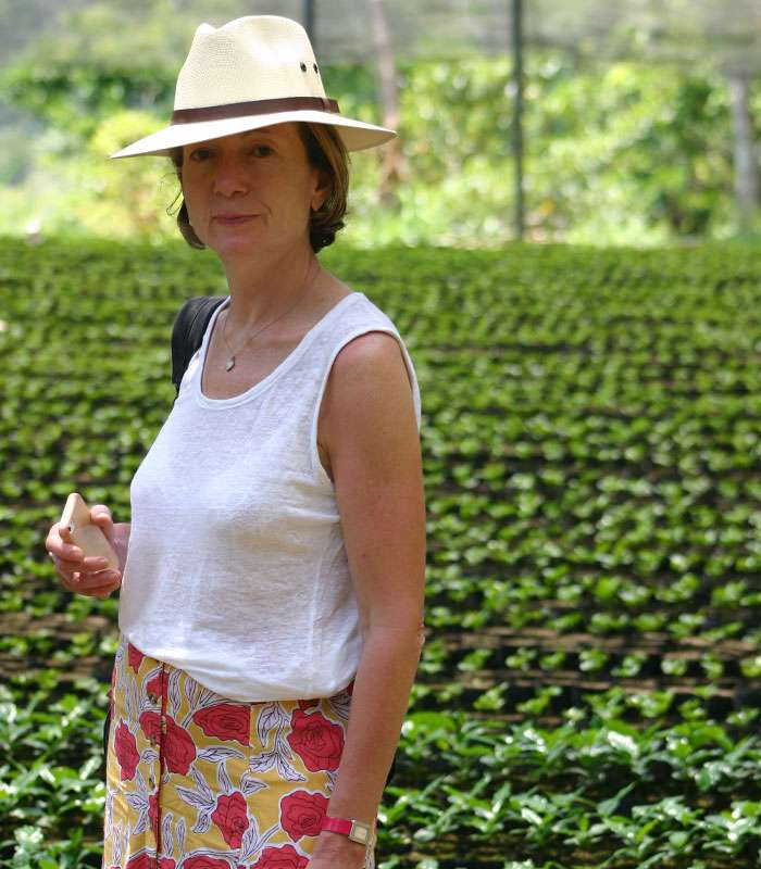 Découvrez notre café bio du Brésil, Mexique