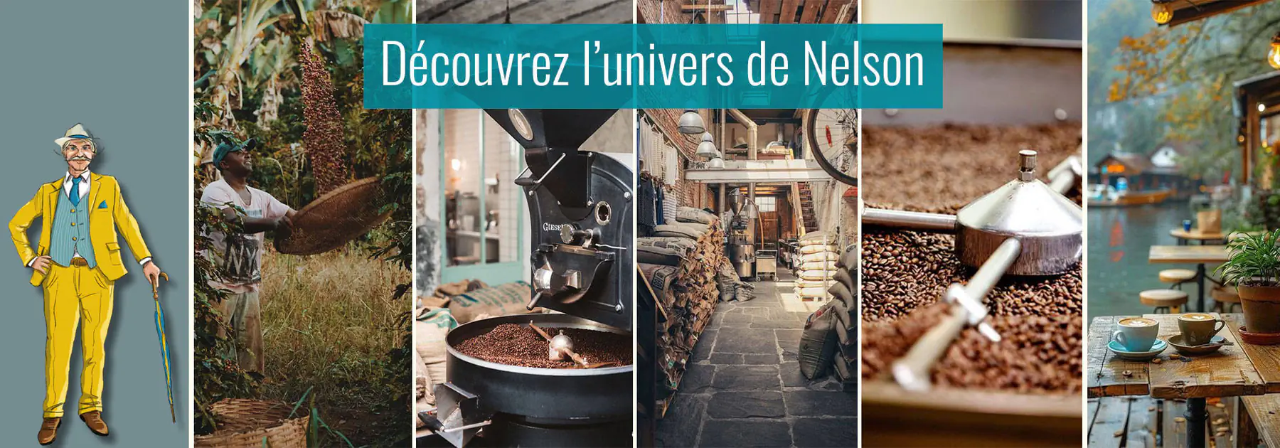 Mister Nelson | Café Décaféiné Bio du Pérou | Terramoka
